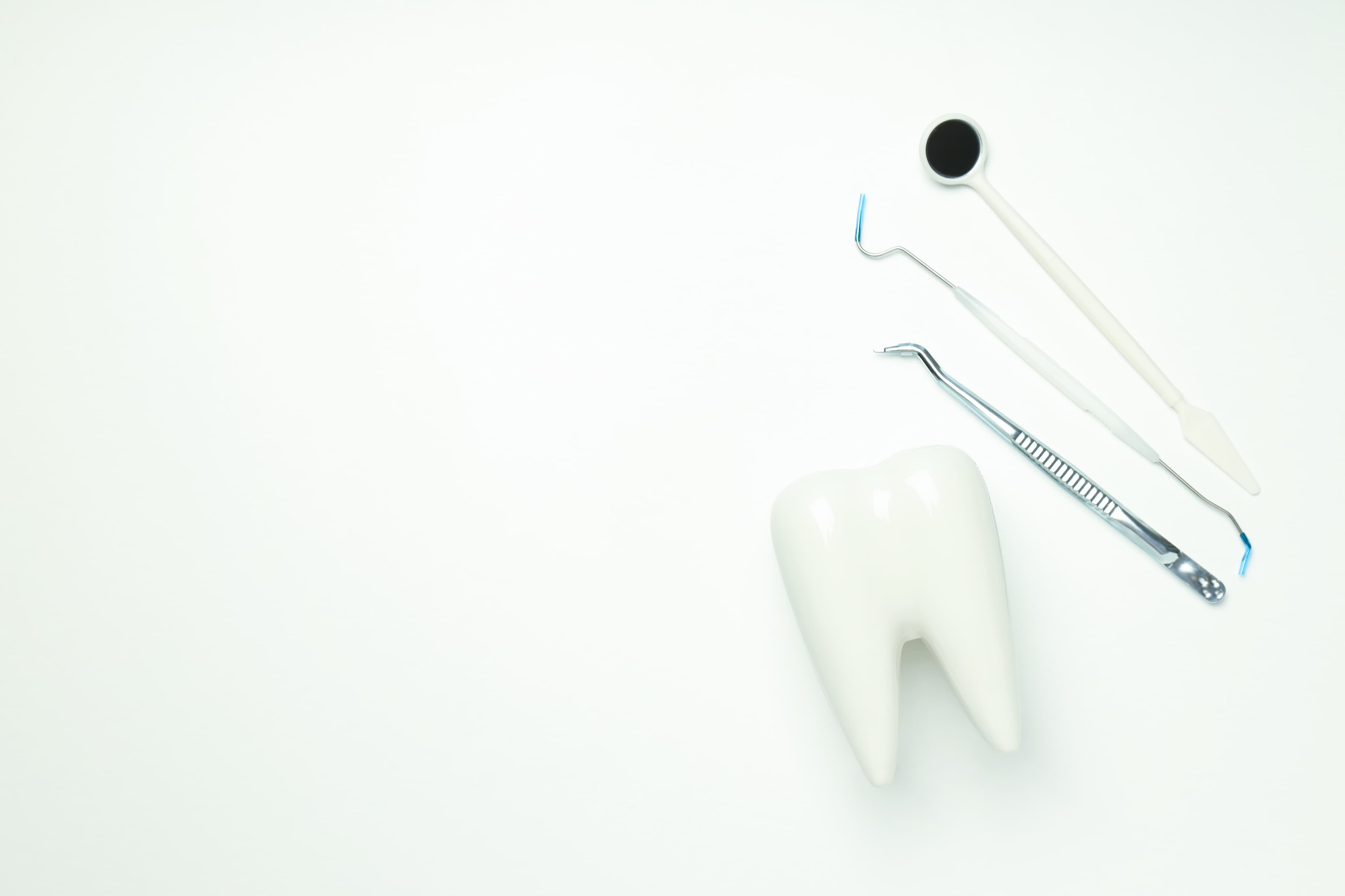 Frequently Asked Questions