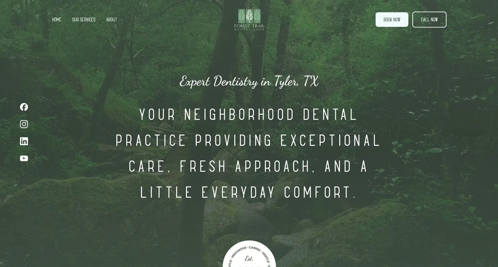 Design 9, a website design for a general dentistry practice with an earthy, local feel